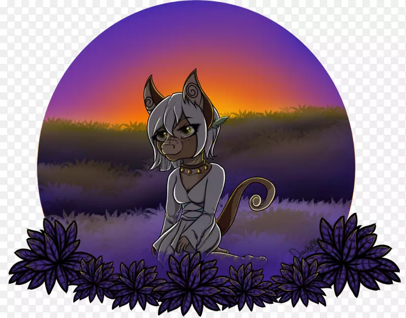 胡须，猫，马，-小猫