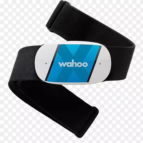 wahotickr x wahoo健身心率监测器