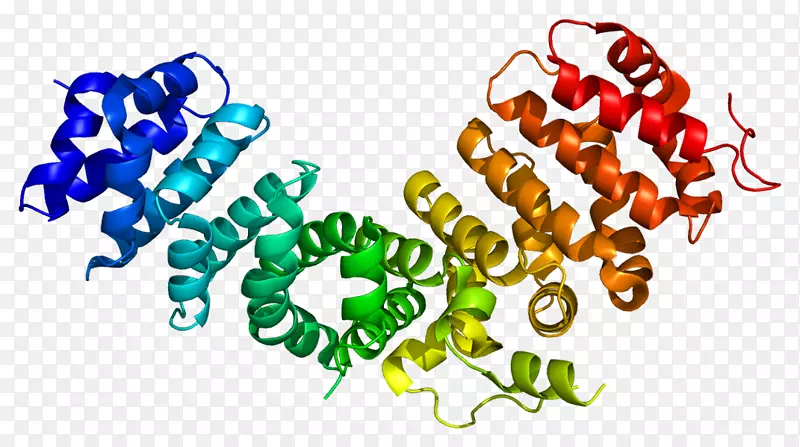 亲脊柱炎素-1钙粘素鲟鱼重复菌红蛋白