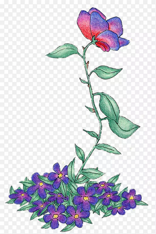 花卉设计切花紫罗兰玫瑰花