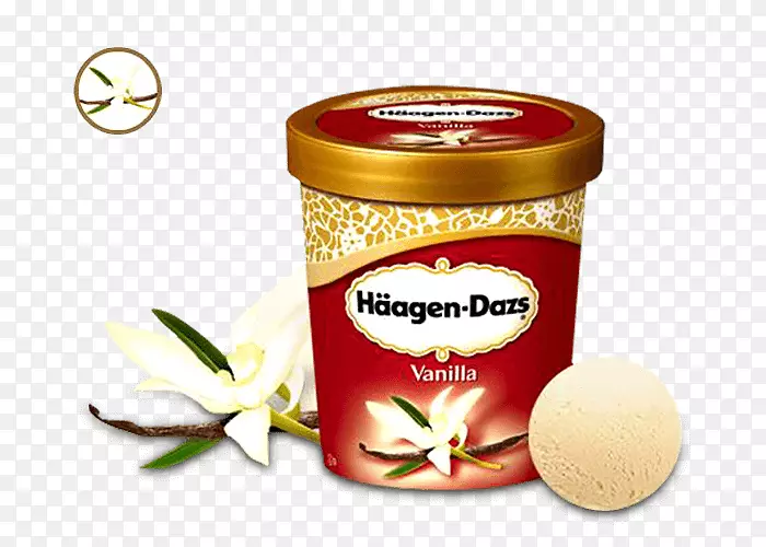 冰淇淋h agen-dazs巧克力布朗尼比萨饼-冰淇淋