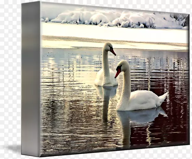 希尼尼画框画廊包帆布艺术-水彩天鹅