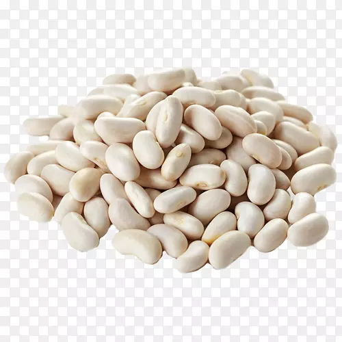 豆类食品蛋白质豆类-健康