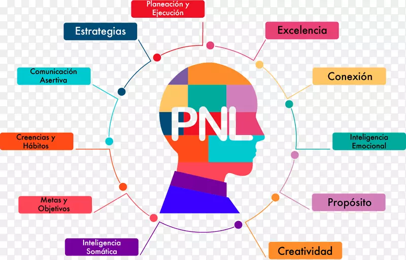 神经-语言编程-神经语言学辅导交流-pnl