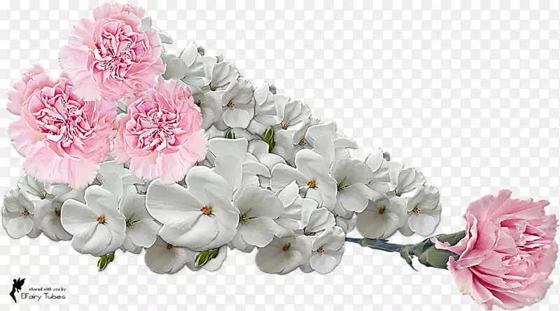 花卉设计白色花束切花