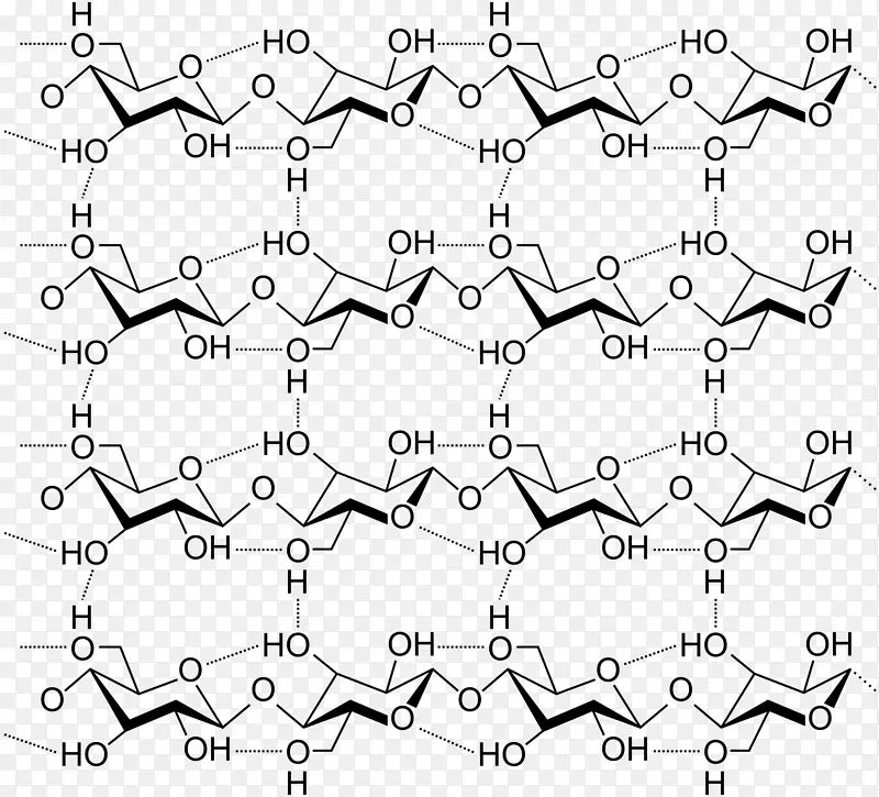 纤维素结构氢键碳水化合物多糖纤维素