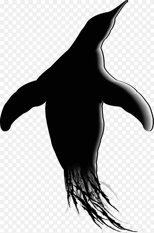 企鹅海狮剪贴画-企鹅