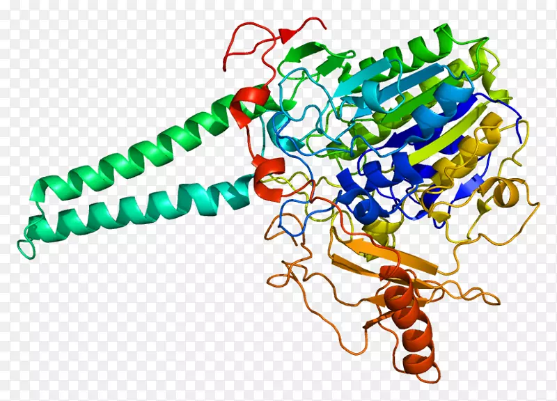 甾体硫酸盐酶x连锁鱼鳞病idurate-2-硫酸盐酶