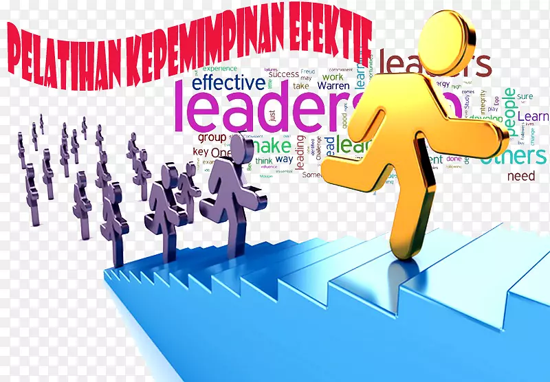 教育领导风格中的领导发展组织行为-领导技能