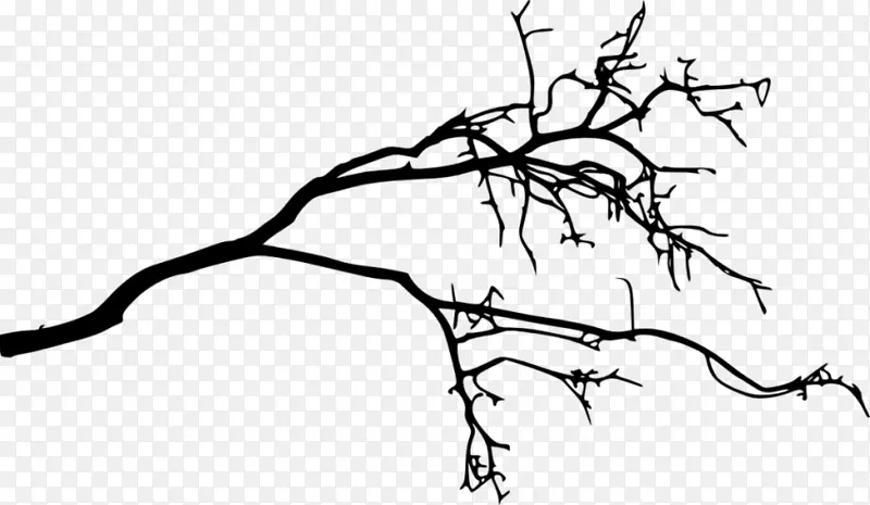 树枝轮廓画-剪影