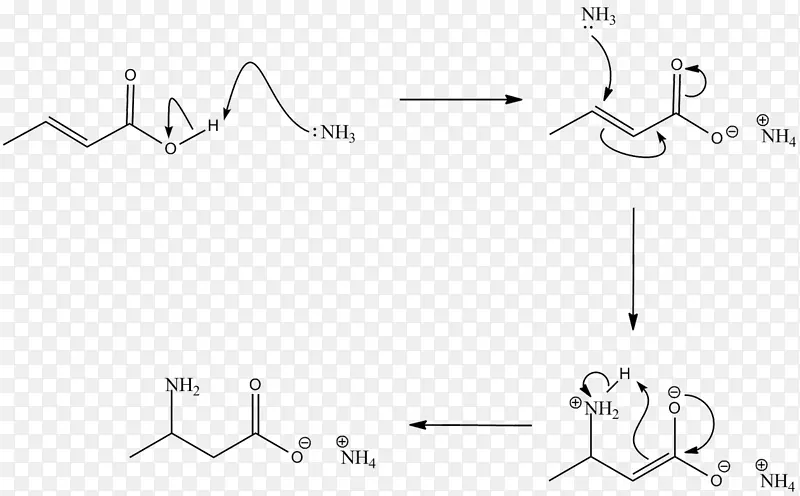 羧酸胺化学反应酰胺基团