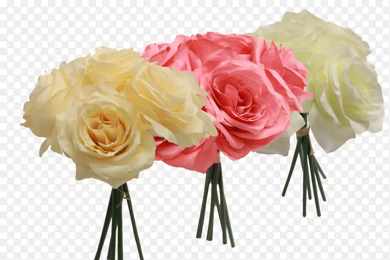 花园玫瑰，卷心菜，玫瑰花设计，切花-本杰明富兰克林日