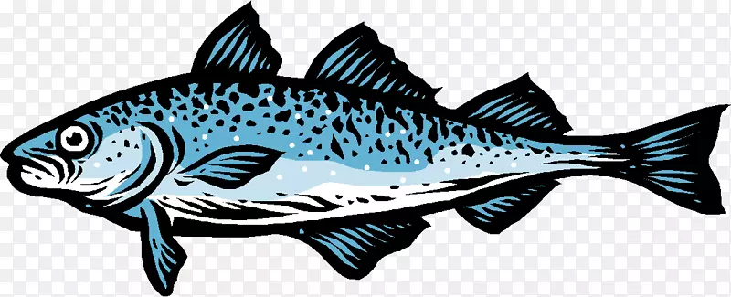 三文鱼产品09777油性鱼类-鱼类