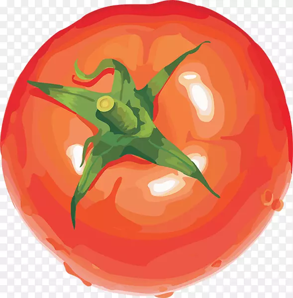 蔬菜素食烹饪水果樱桃番茄剪贴画-蔬菜