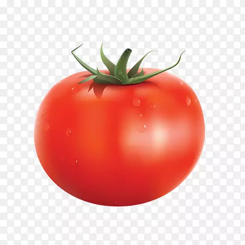 有机食品蔬菜番茄汁-蔬菜