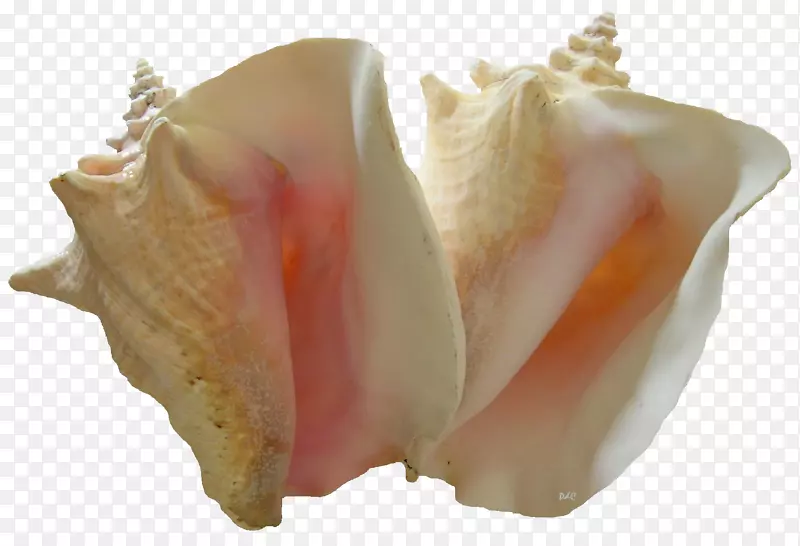 海螺图像分辨率-海螺