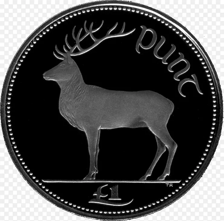 爱尔兰英镑1英镑欧元硬币-欧元