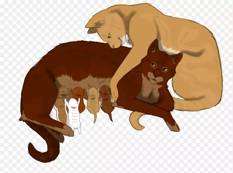 猫狮战士小猫艺术-家庭猫
