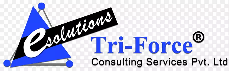 Triforce公司商业顾问软件开发-业务
