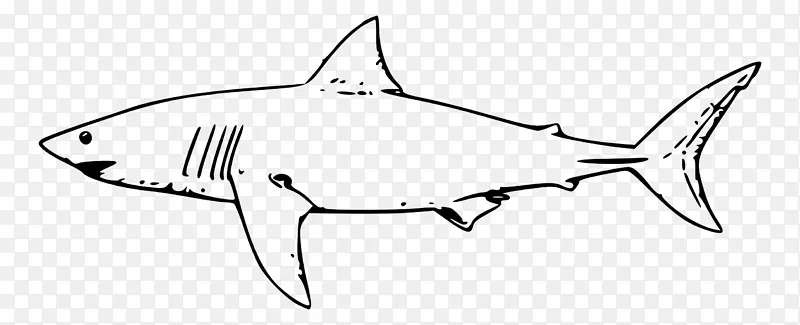 大白鲨嘴画夹艺术鲨鱼