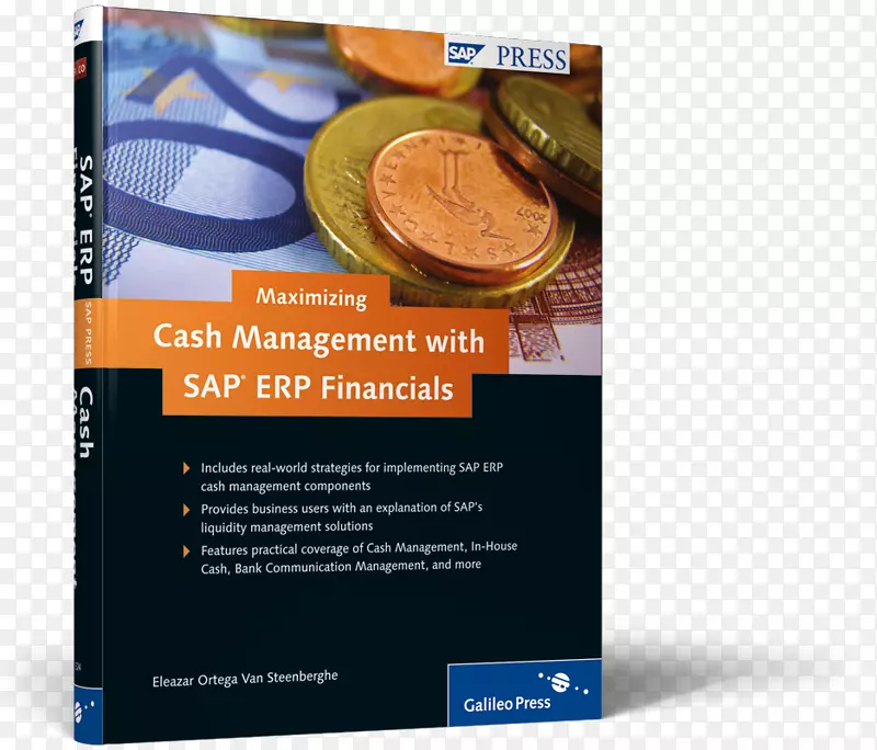最大化sap erp财务报表应收账款风险管理sap se-印刷机