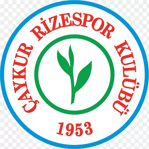 yeniŞehir stadıaykur rizespor süper lig足球运动-足球