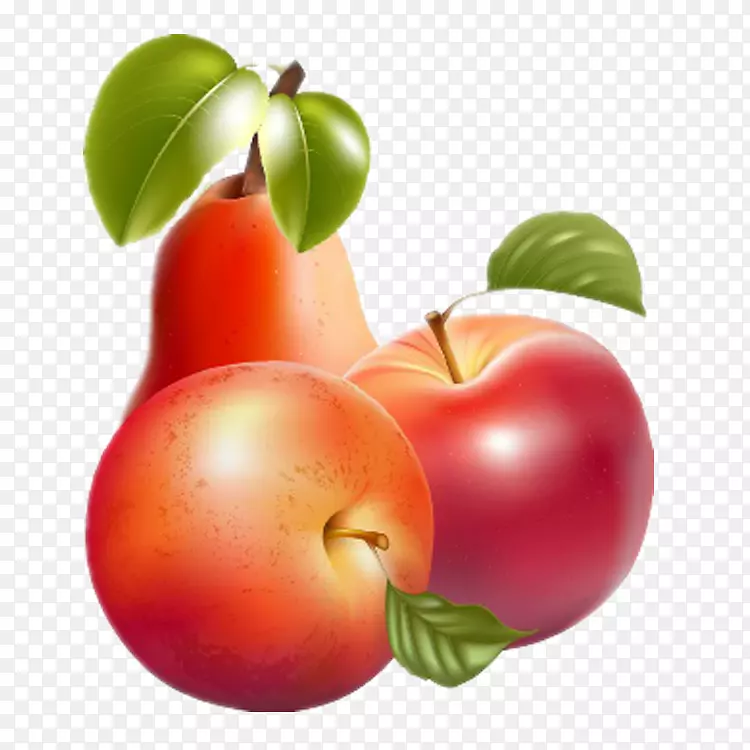 巴巴多斯樱桃苹果剪贴画-苹果