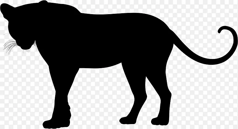 美洲豹科美洲狮黑豹猎豹轮廓