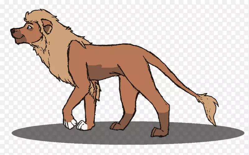 狮子猫犬科狗陆生动物-狮子