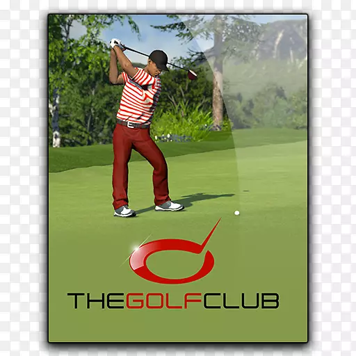 高尔夫俱乐部山核桃高尔夫职业高尔夫球杆-高尔夫俱乐部