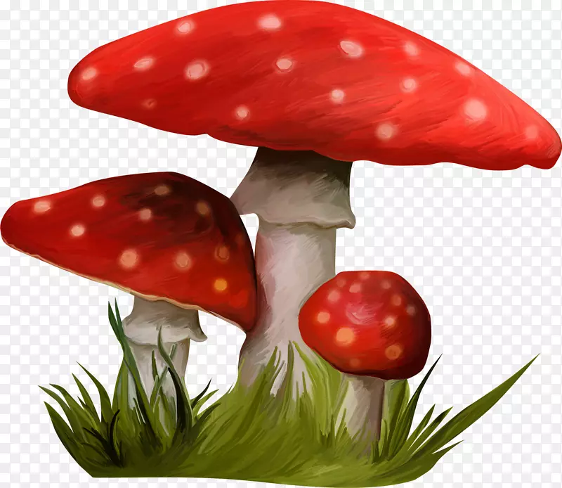 蘑菇Nala http曲奇剪辑艺术-蘑菇