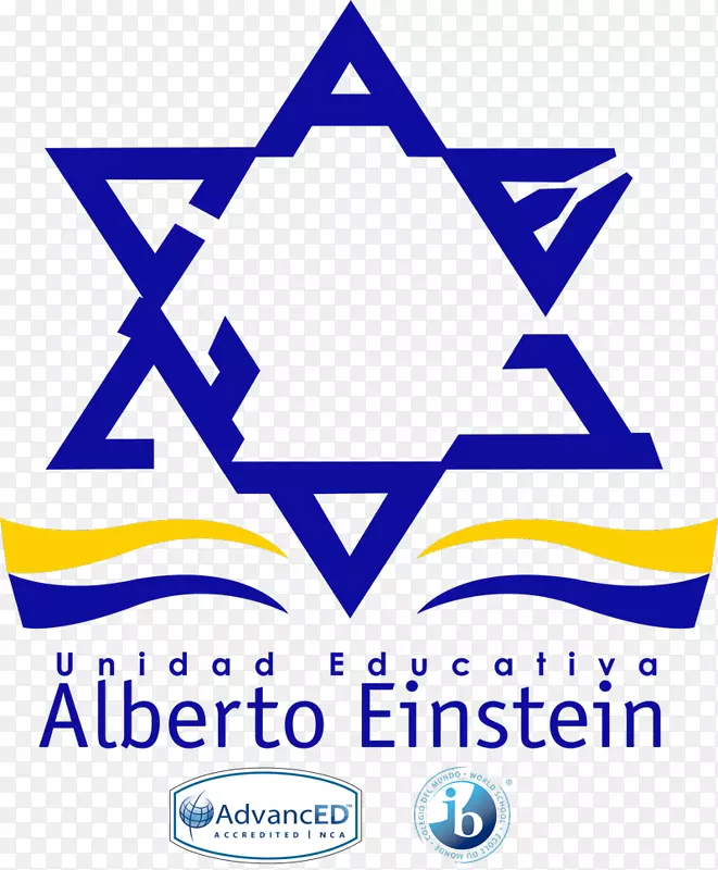 阿尔贝托·爱因斯坦学院