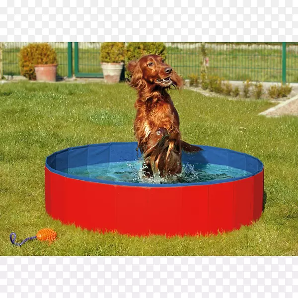 狗游泳池，浴缸，热水浴缸，小狗-火烈鸟游泳池