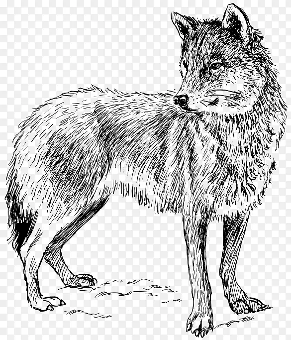 黑狼北极狼夹艺术-狼影