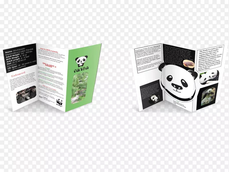 大熊猫信息品牌-CHED标志