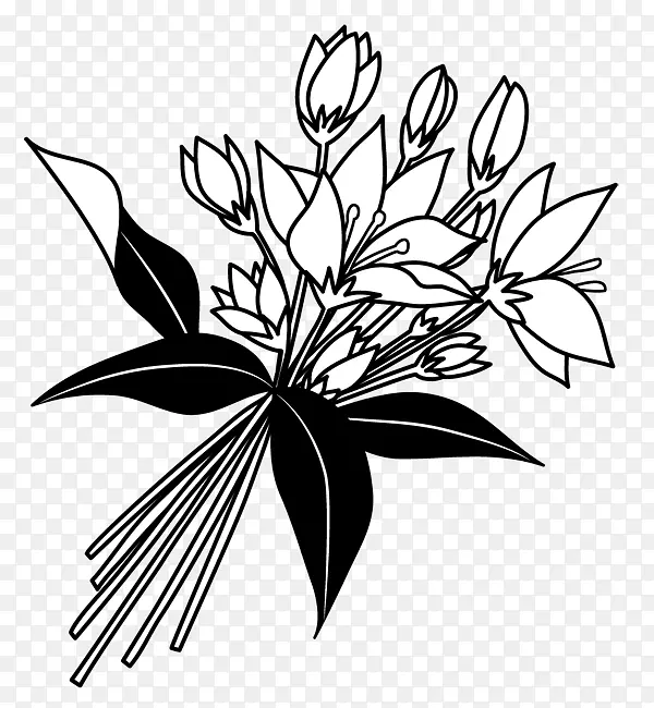 花卉设计黑白绘画单色绘画-罗素