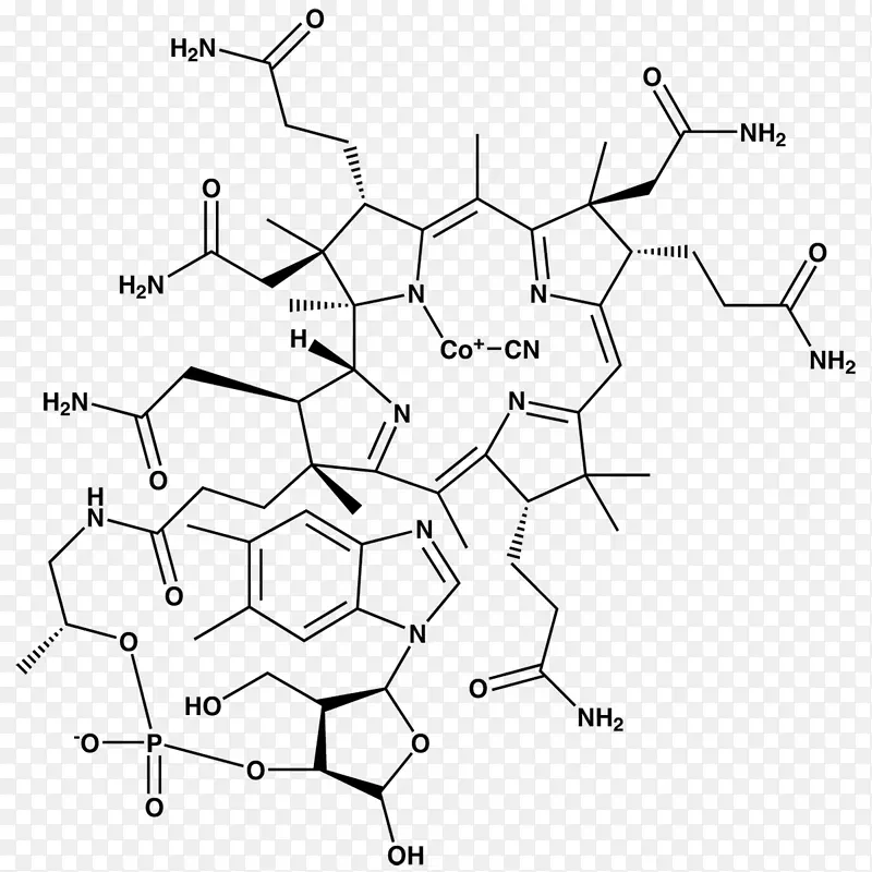 维生素b-12氰钴胺生物素-维生素B1 2