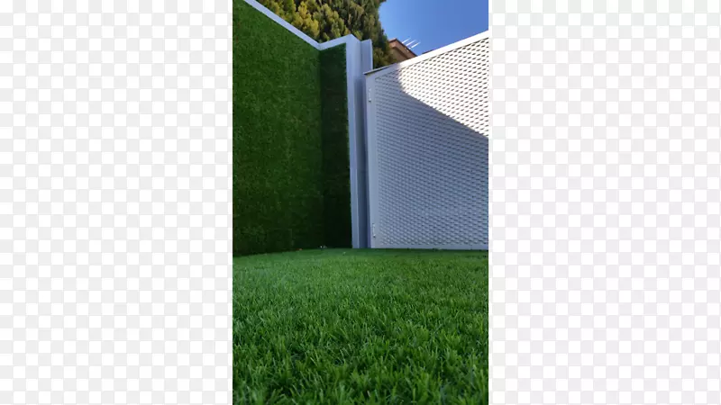 人工草坪花园绿色墙格子房