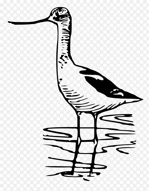 鹅鸟鸭湿夹艺术-鹅