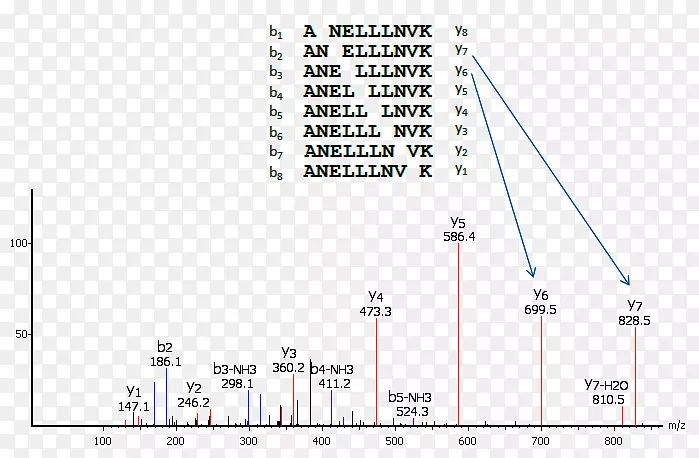 新肽测序串联质谱蛋白质测序质谱
