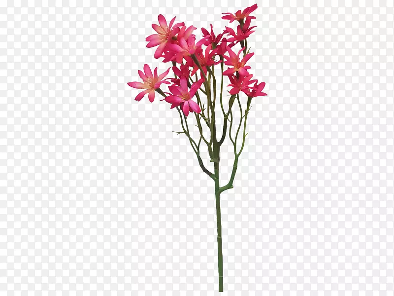 切花花卉设计花盆植物茎花