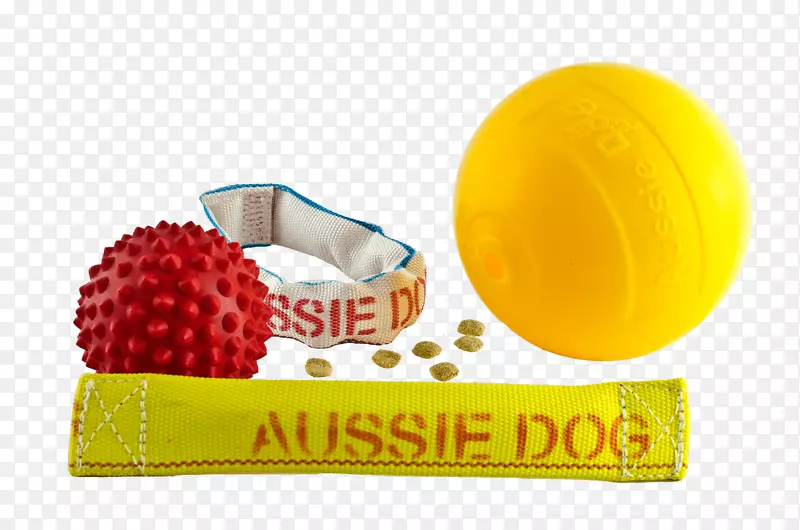 澳大利亚牧羊犬狗玩具宠物店-小狗