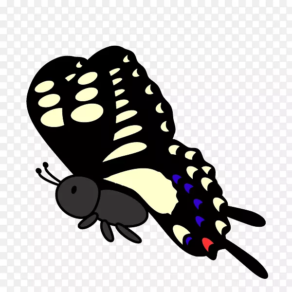 毛茸茸的蝴蝶昆虫夹艺术蝴蝶