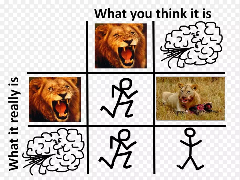 狮子虎进化-狮子