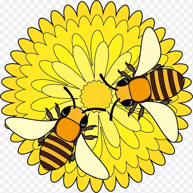 蜜蜂王蝴蝶昆虫剪贴画-蜜蜂