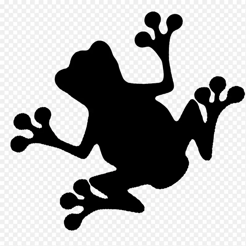 青蛙和蟾蜍食用青蛙剪贴画-青蛙