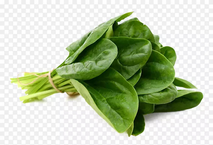 菠菜叶类蔬菜食品
