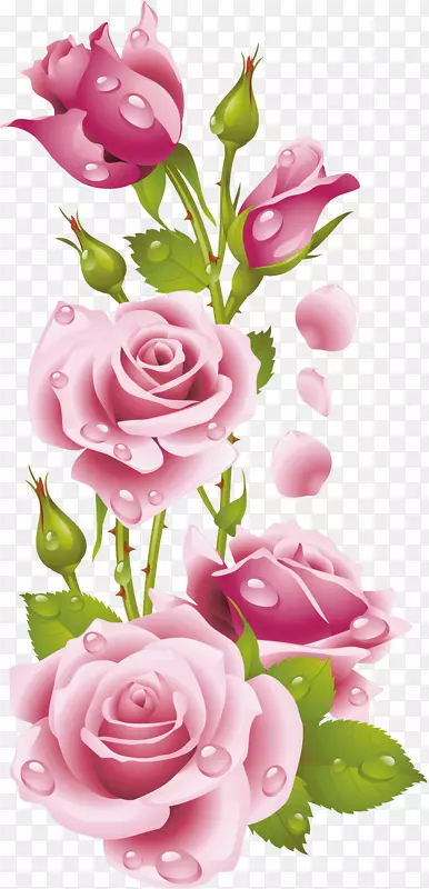 花卉设计画玫瑰刺绣艺术