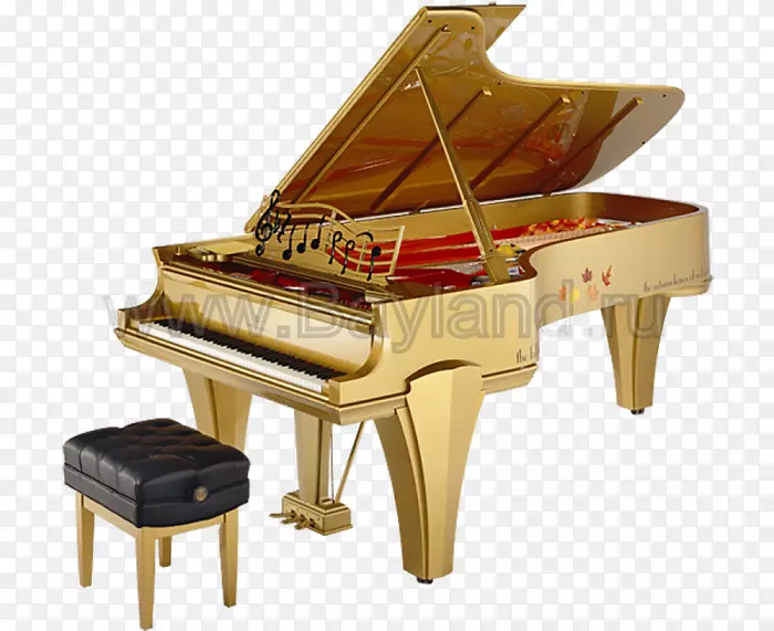 钢琴演奏者大钢琴施坦威和儿子乐器-钢琴