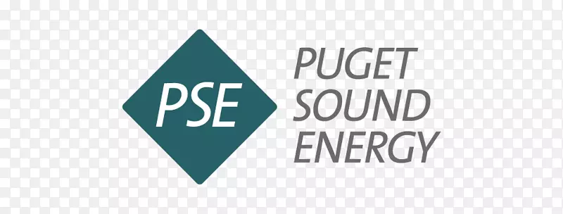 Puget音响能源可再生能源高效利用-能源